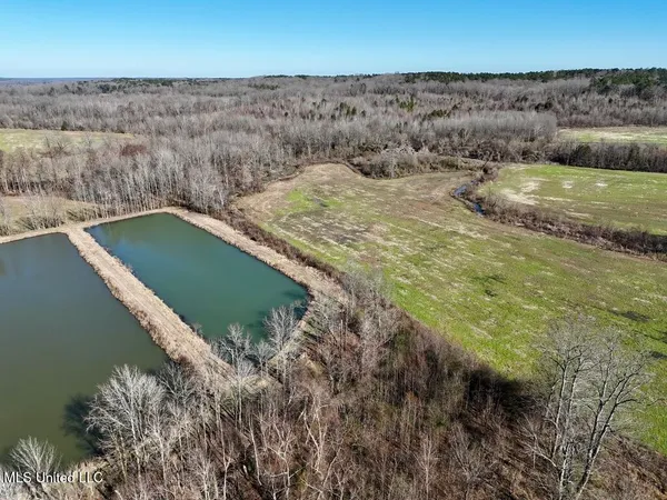 $521,750 | 1 County Road 204, Tiplersville, MS 38674