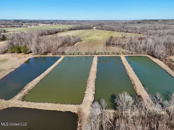 $521,750 | 1 County Road 204, Tiplersville, MS 38674