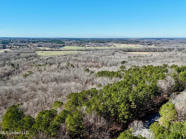 $521,750 | 1 County Road 204, Tiplersville, MS 38674