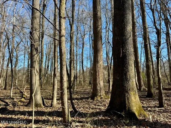 $521,750 | 1 County Road 204, Tiplersville, MS 38674