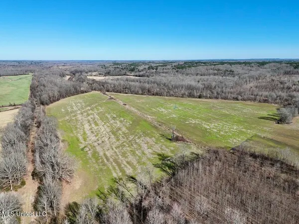 $521,750 | 1 County Road 204, Tiplersville, MS 38674