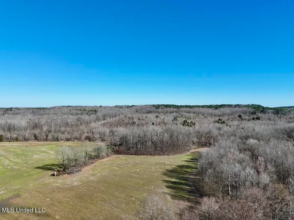 $521,750 | 1 County Road 204, Tiplersville, MS 38674