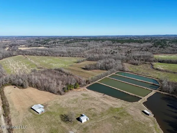 $521,750 | 1 County Road 204, Tiplersville, MS 38674
