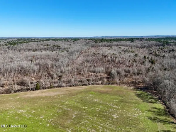 $521,750 | 1 County Road 204, Tiplersville, MS 38674