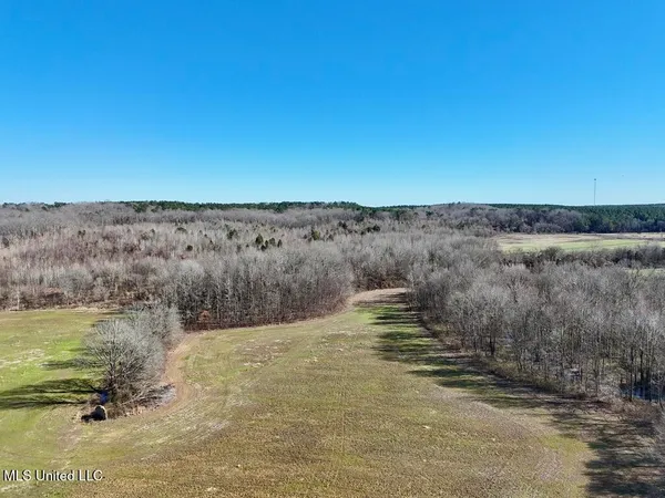 $521,750 | 1 County Road 204, Tiplersville, MS 38674