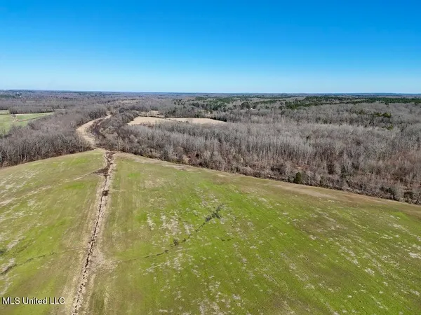 $521,750 | 1 County Road 204, Tiplersville, MS 38674