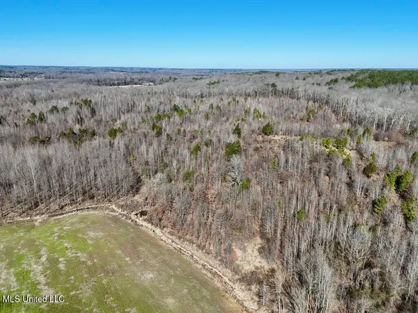 $521,750 | 1 County Road 204, Tiplersville, MS 38674