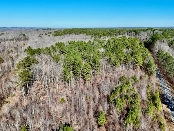 $521,750 | 1 County Road 204, Tiplersville, MS 38674