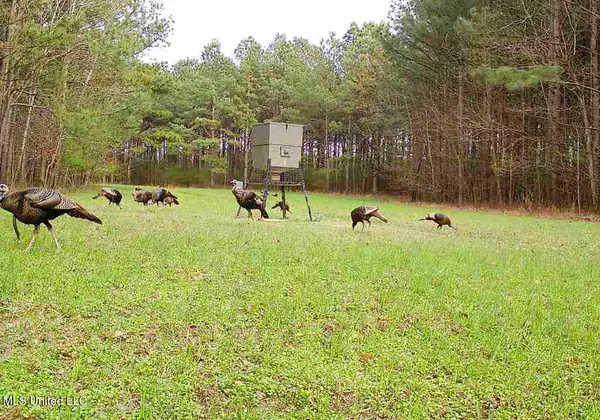 $521,750 | 1 County Road 204, Tiplersville, MS 38674
