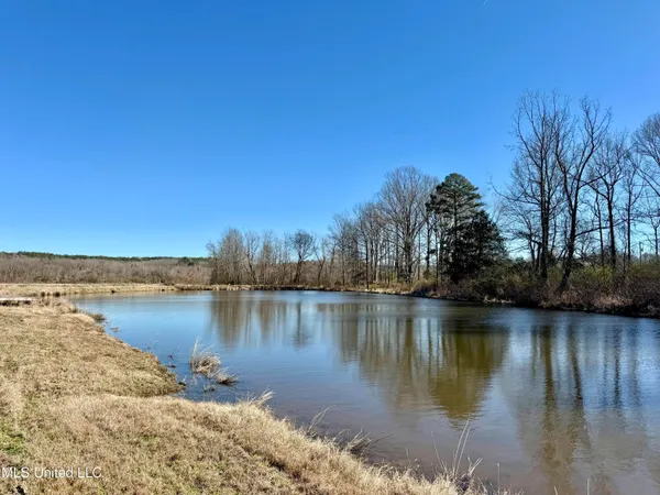 $521,750 | 1 County Road 204, Tiplersville, MS 38674