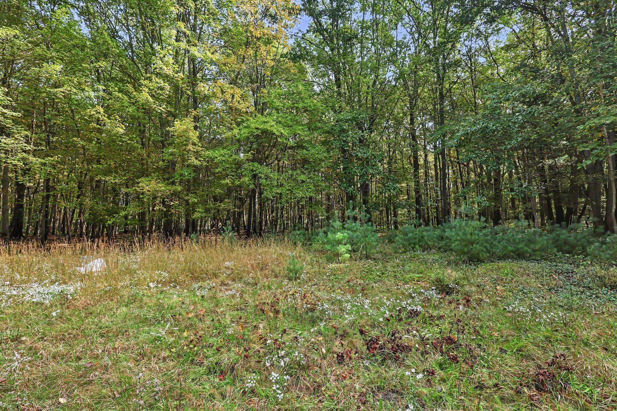 1570 North Peterson Road Muskegon, MI 49445 - Photo 12 of 18 012_file_6005