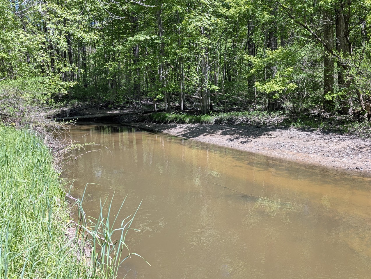 840 Black River Road Bangor, MI 49013 - Photo 13 of 48