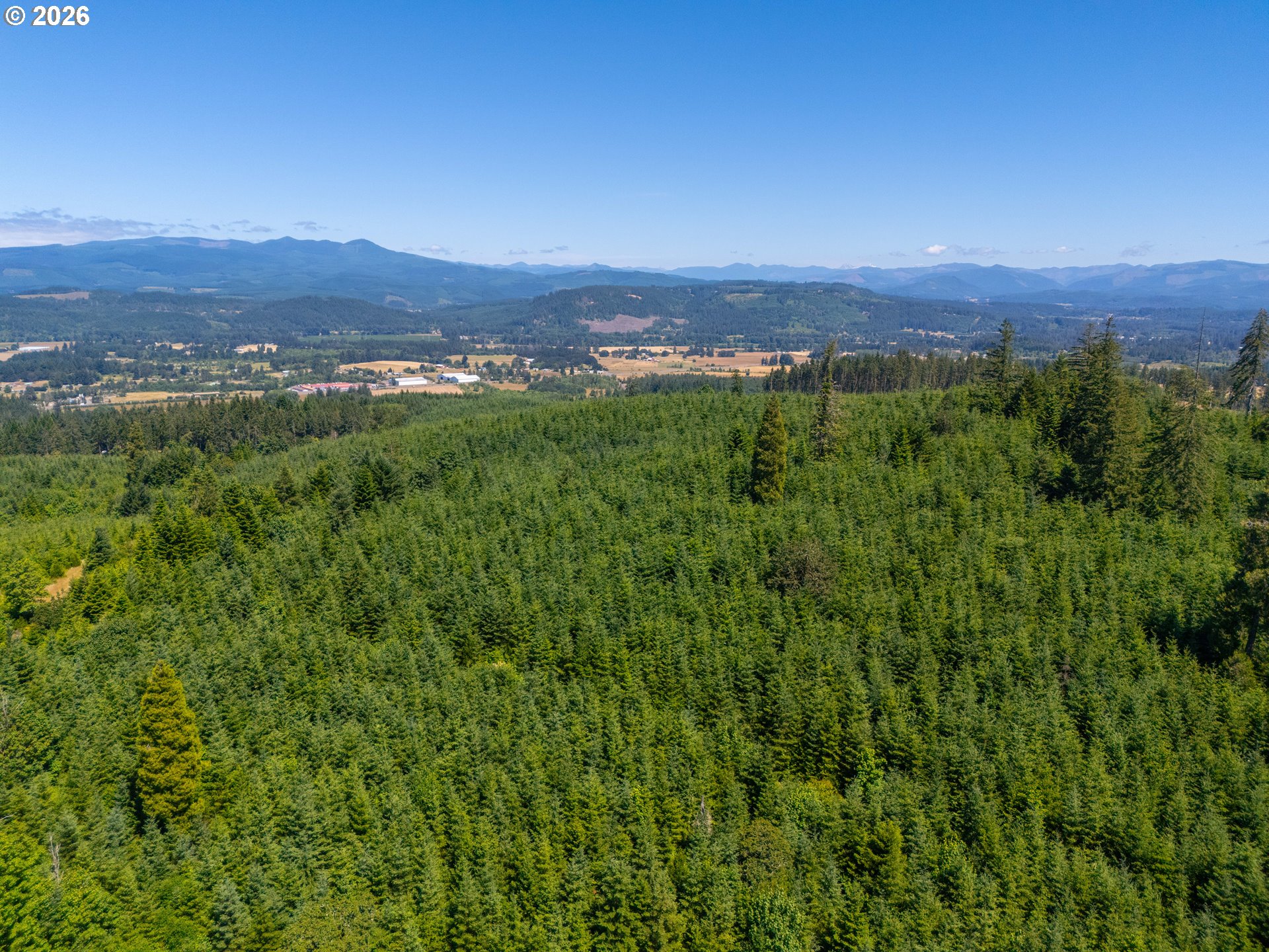 29852 Ingram Road Lebanon, OR 97355 - Photo 11 of 17