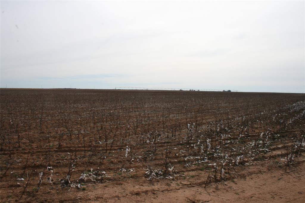 266 Fm266 Corner Goree, TX 76363 - Photo 12 of 27 a view of an ocean