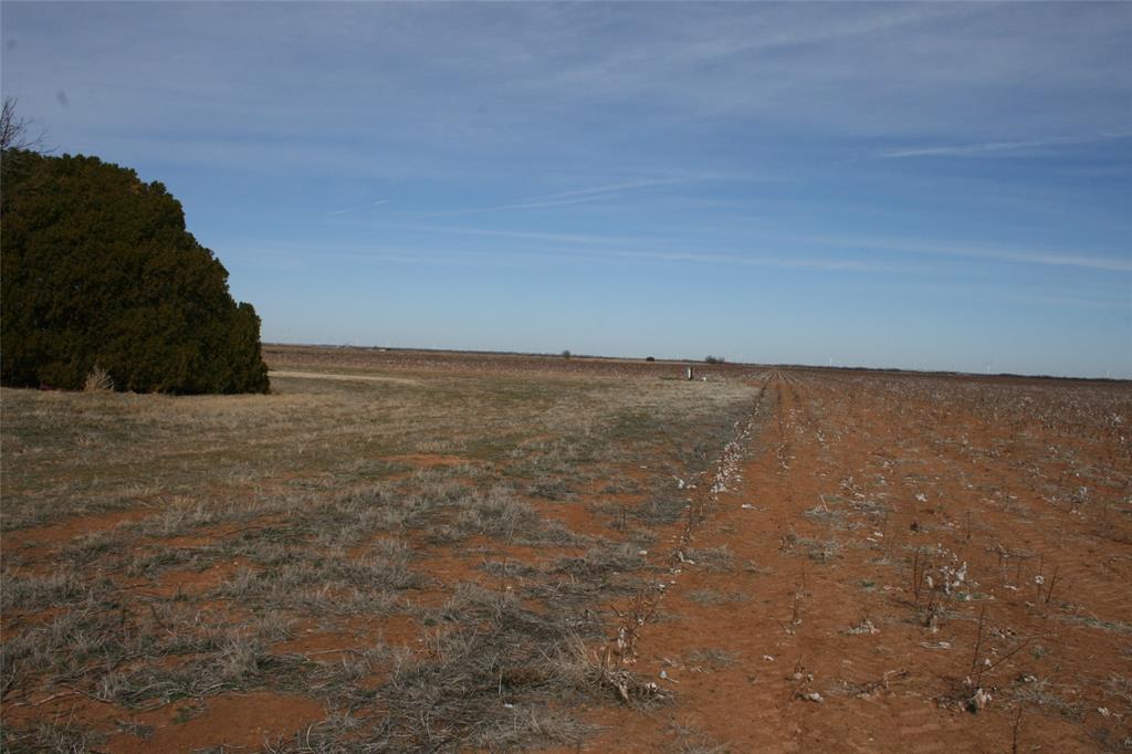 266 Fm266 Corner Goree, TX 76363 - Photo 20 of 27 a view of ocean with large trees