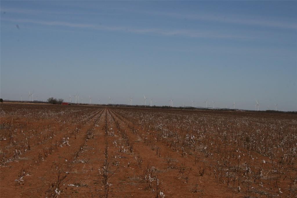 266 Fm266 Corner Goree, TX 76363 - Photo 23 of 27 a view of room and yard