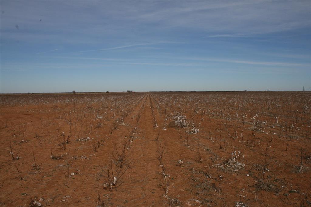 266 Fm266 Corner Goree, TX 76363 - Photo 25 of 27 a view of an ocean