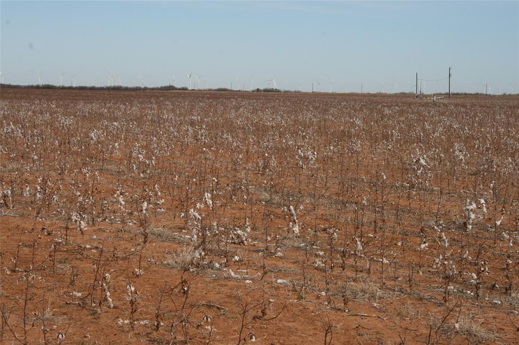 266 Fm266 Corner Goree, TX 76363 - Photo 26 of 27 a view of a dry yard