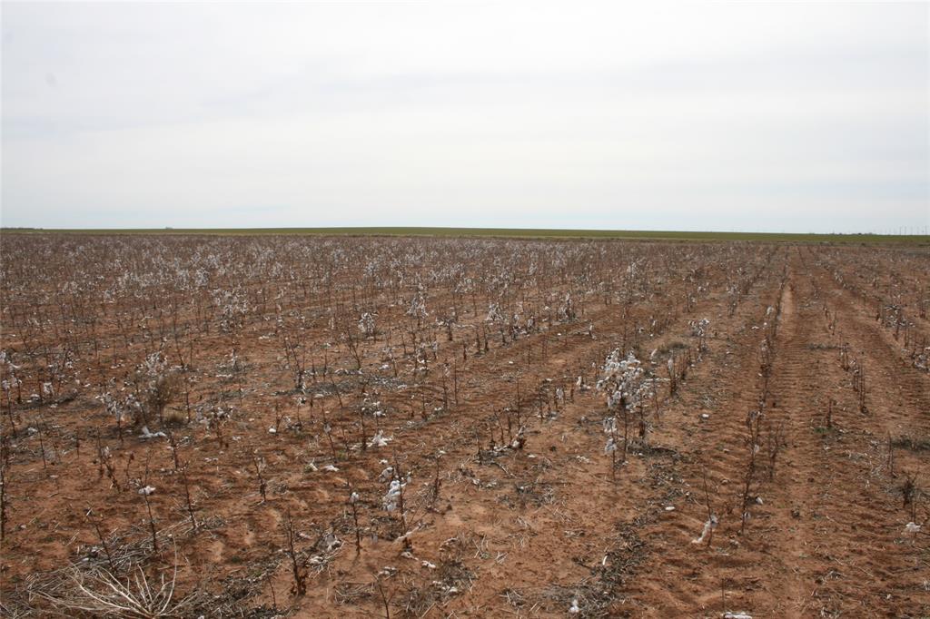 266 Fm266 Corner Goree, TX 76363 - Photo 27 of 27