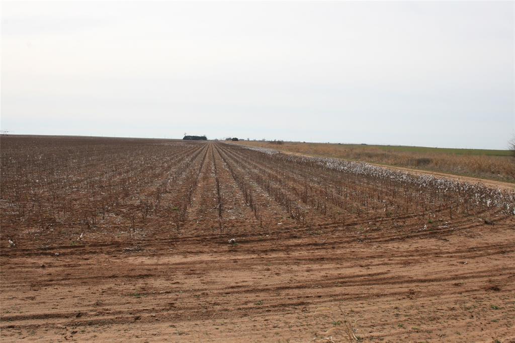 266 Fm266 Corner Goree, TX 76363 - Photo 4 of 27 a view of ocean