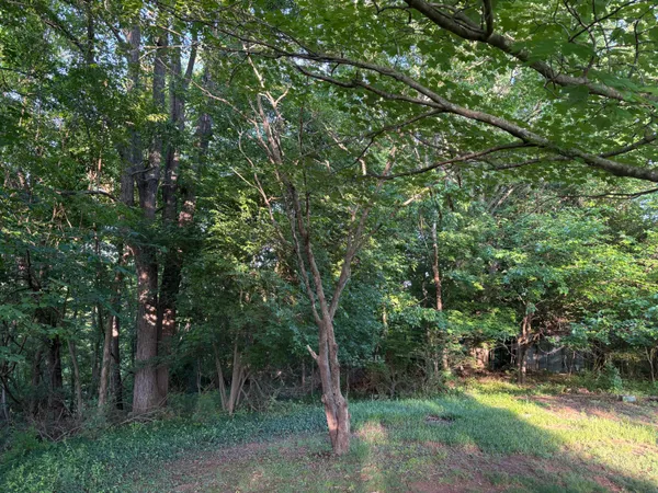 $15,000 | 1130 Stephens (lot) Street, Martinsville, VA 24112