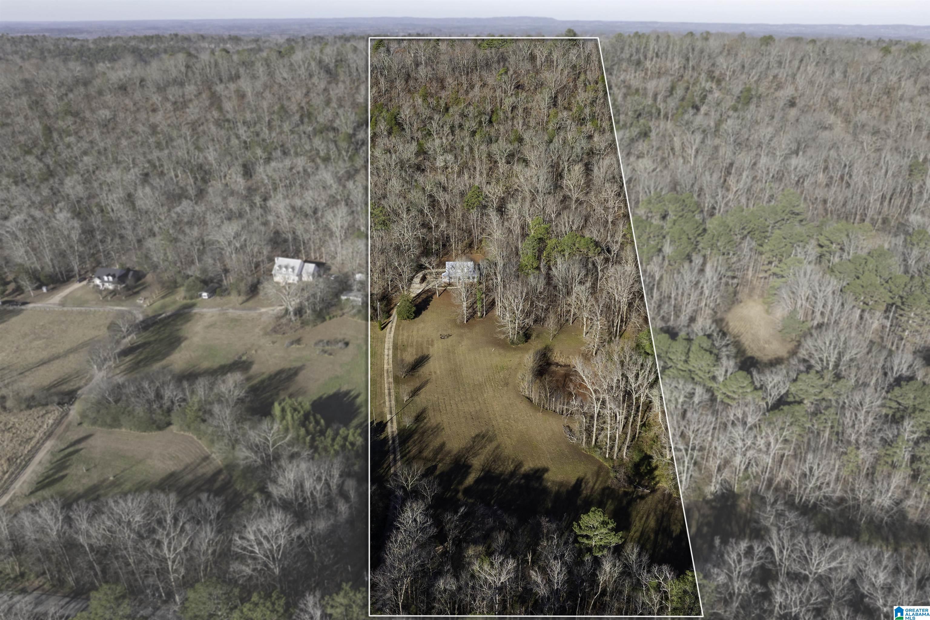 1775 Red Valley Road Remlap, AL 35133 - Photo 7 of 56