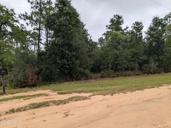 $22,500 | 0 Castillo Drive, Alford, FL 32420