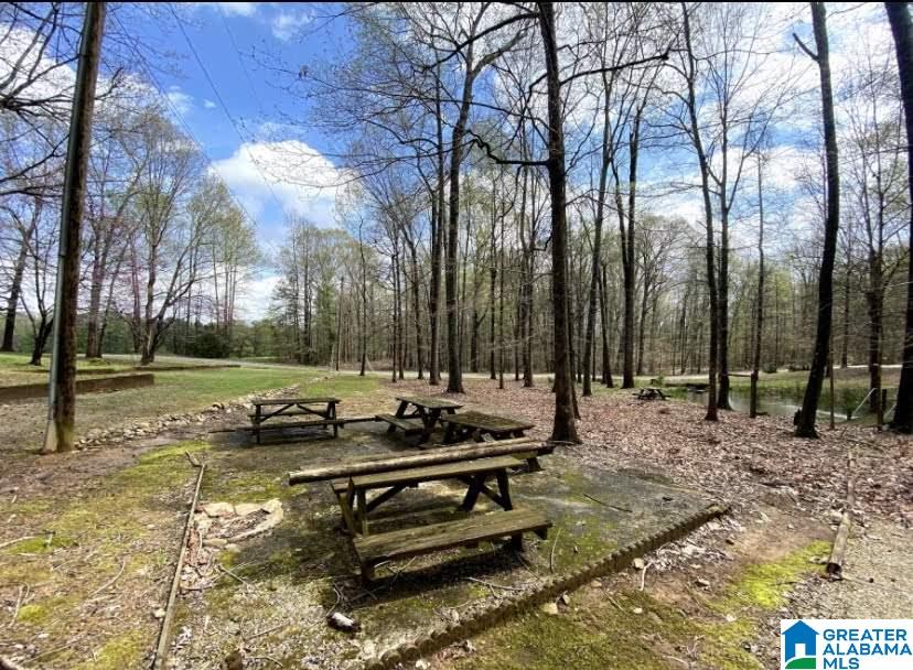 240 Luste Cosmos Road Jacksonville, AL 36265 - Photo 30 of 30
