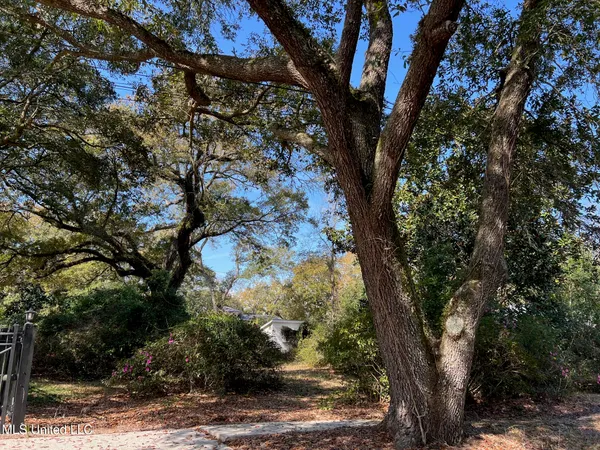$250,000 | 0 Camelia Drive, Pass Christian, MS 39571