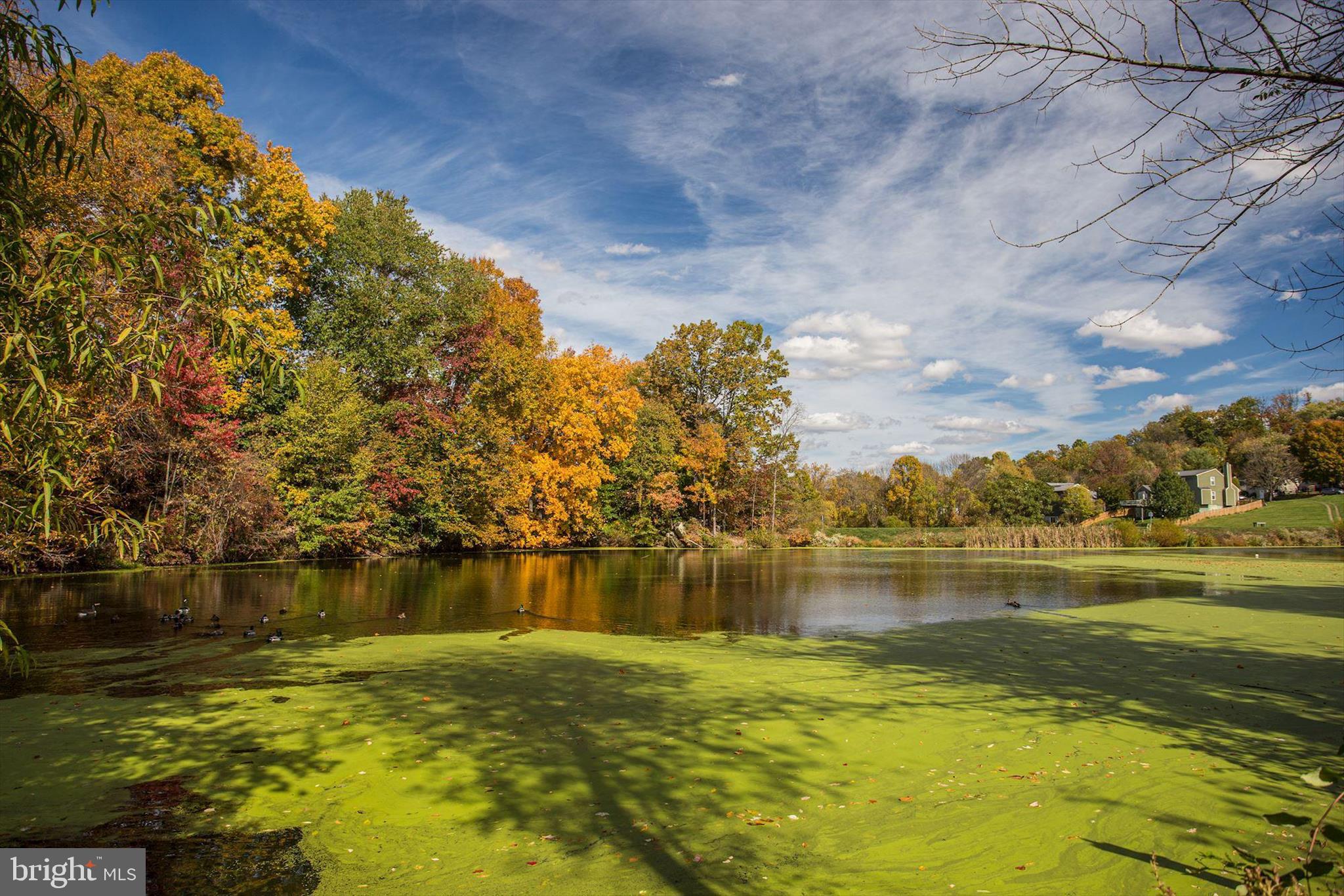 6072 Fallfish Court New Market, MD 21774 - Photo 64 of 78 a view of a lake with houses in the back