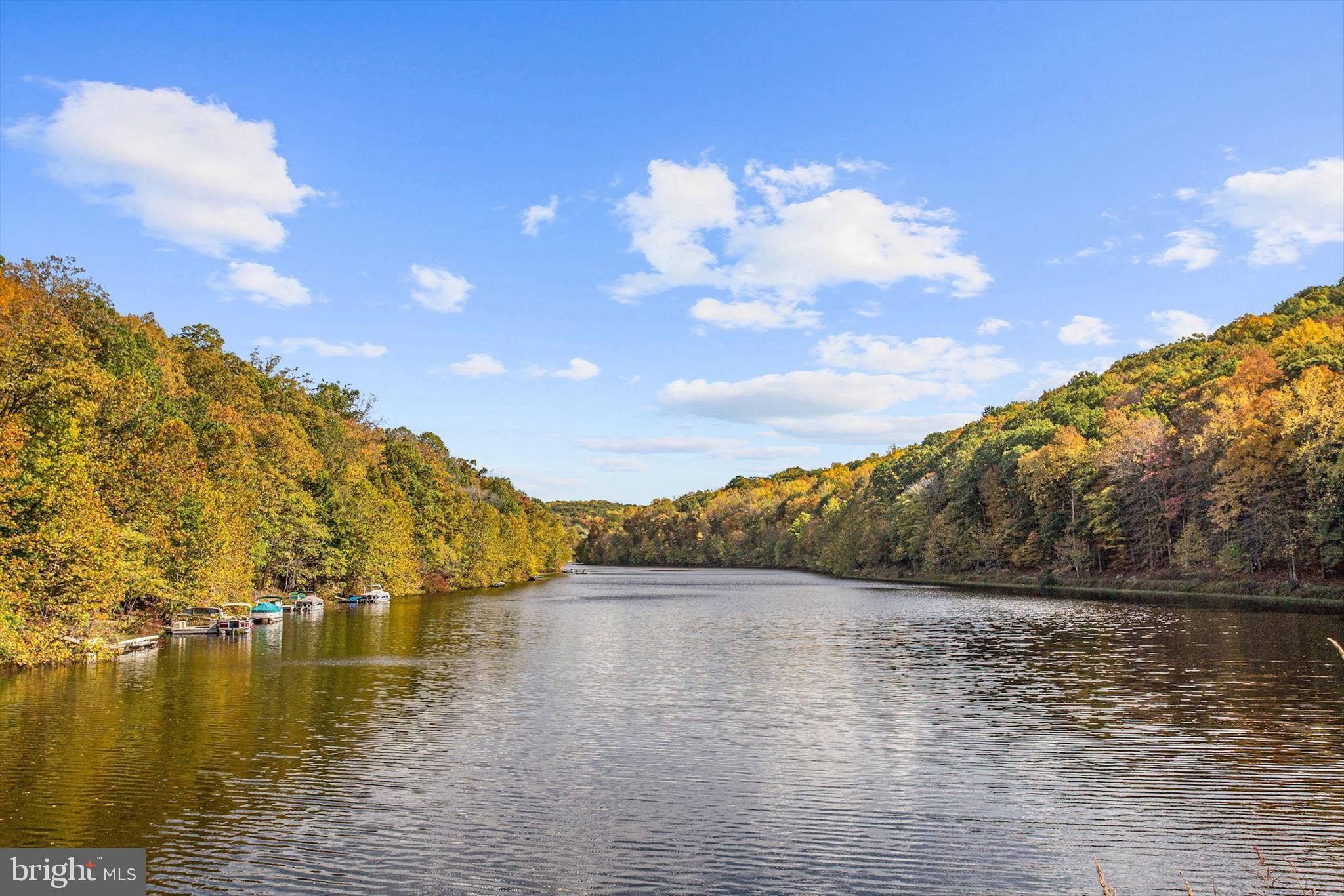 6072 Fallfish Court New Market, MD 21774 - Photo 66 of 78 Lake Linganore