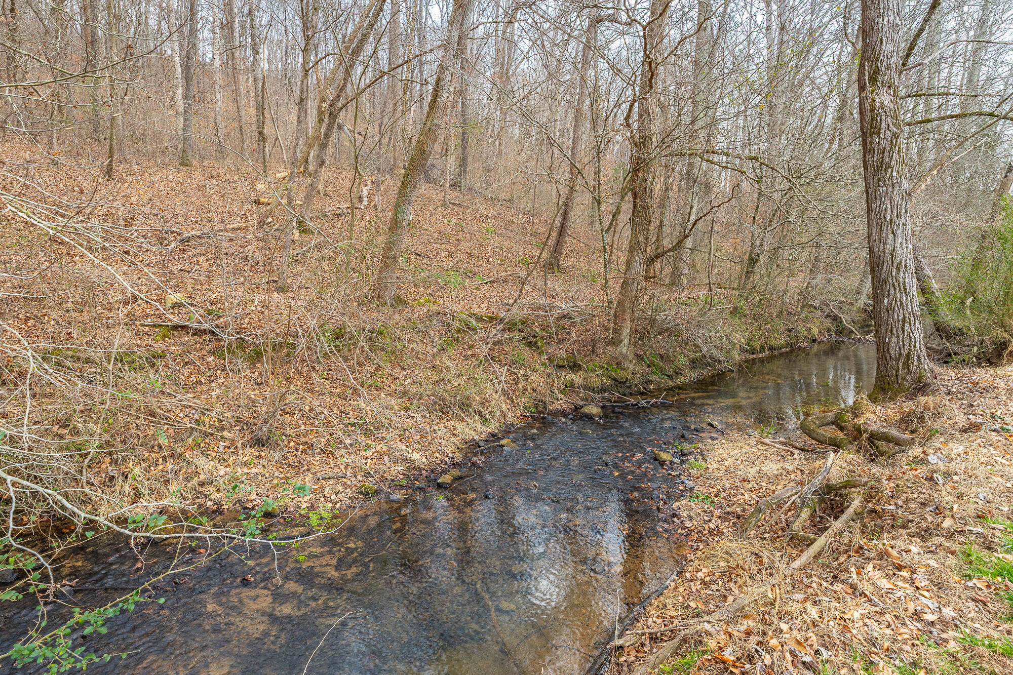 1822 Cherokee Valley Road Ringgold, GA 30736 - Photo 87 of 89 1822 Cherokee Valley Road HD-112