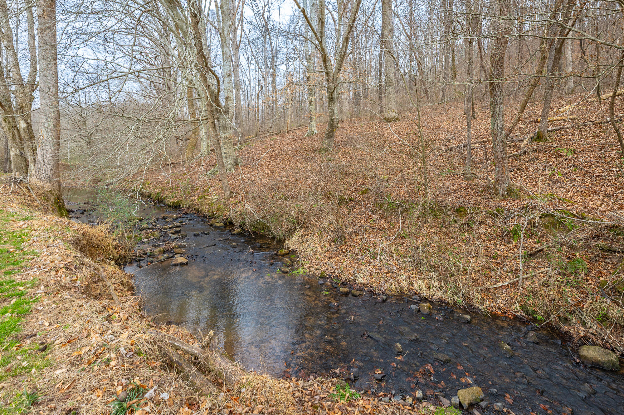 1822 Cherokee Valley Road Ringgold, GA 30736 - Photo 88 of 89 1822 Cherokee Valley Road HD-113