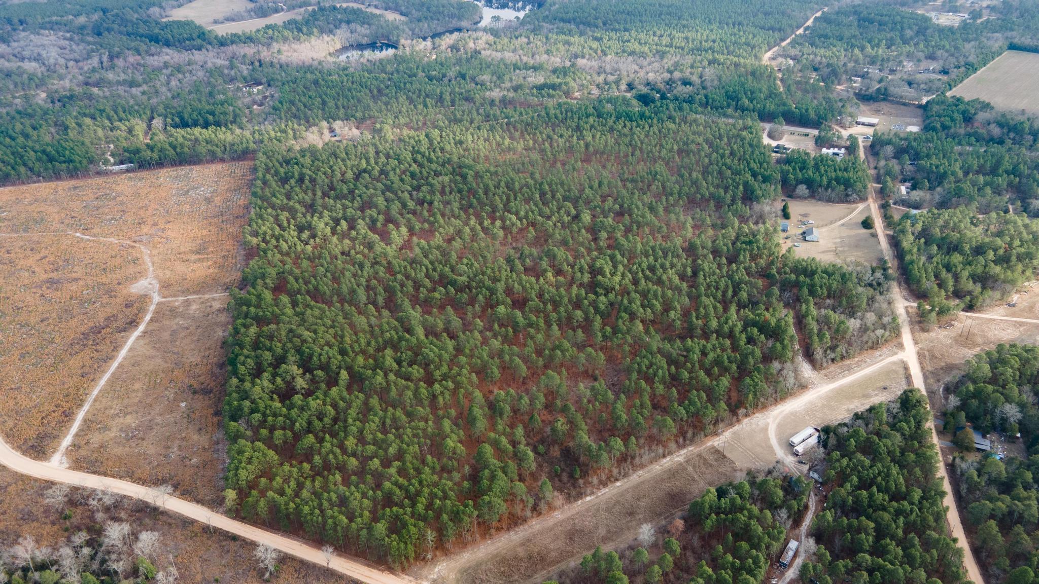 Batesburg-leesville Fairview Road Leesville, SC 29070 - Photo 6 of 8 DJI_0397-2