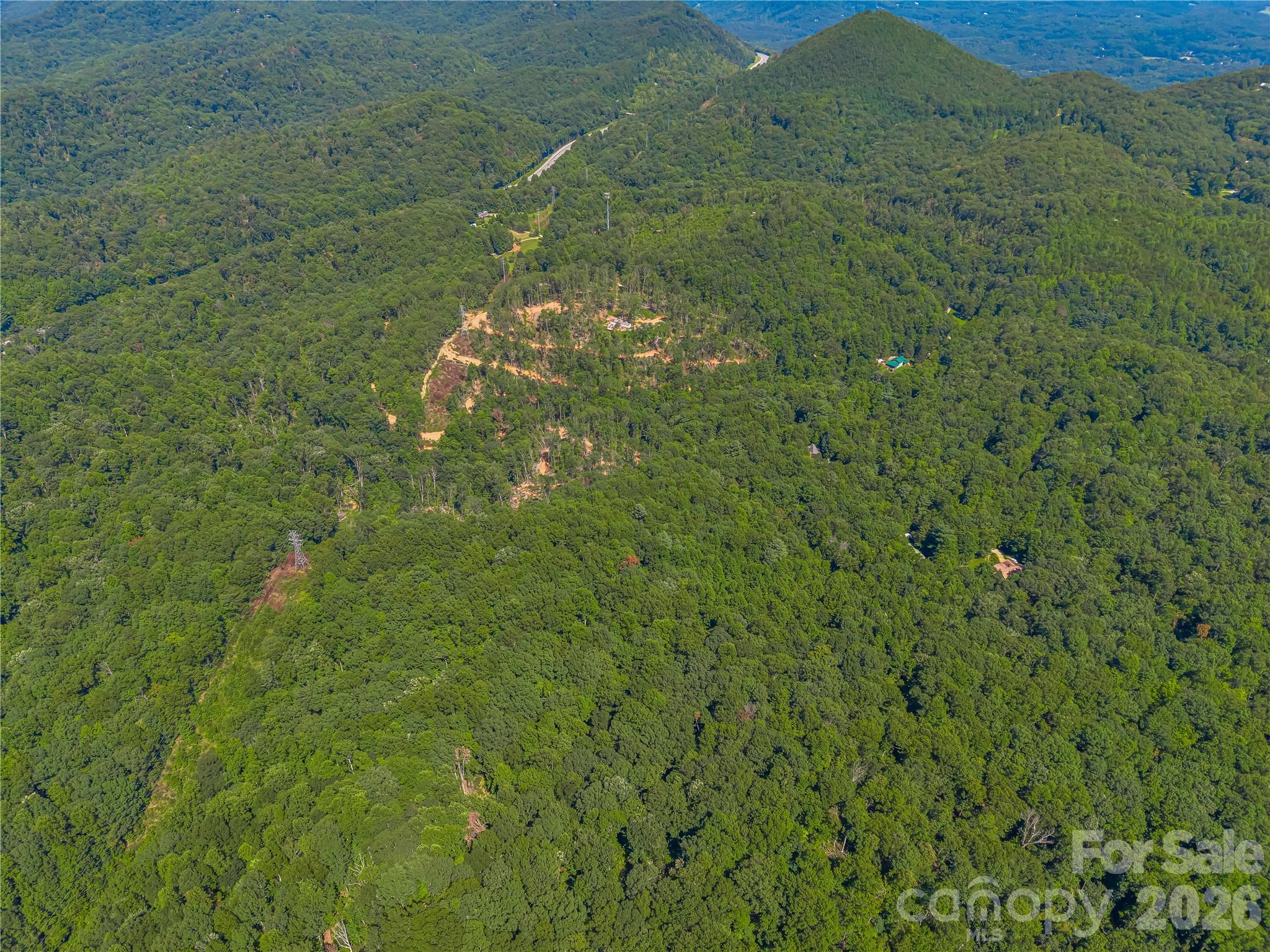 Tbd Early Road Saluda, NC 28773 - Photo 26 of 35 Gallery Image 26