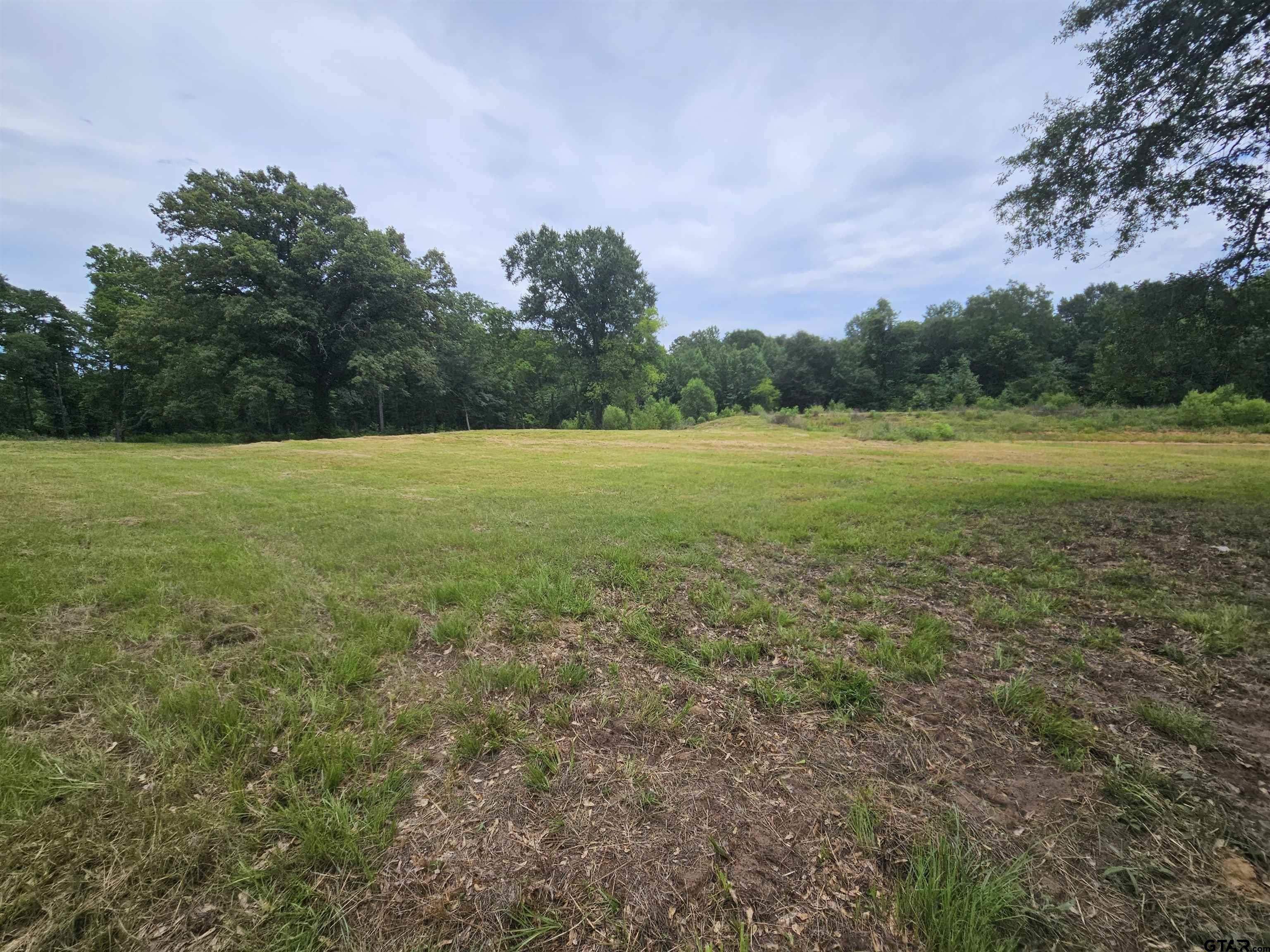 4644 Giraffe Road Gilmer, TX 75644 - Photo 19 of 20