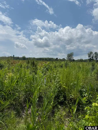 $50,000 | Tbd Cove Road, Hertford, NC 27944