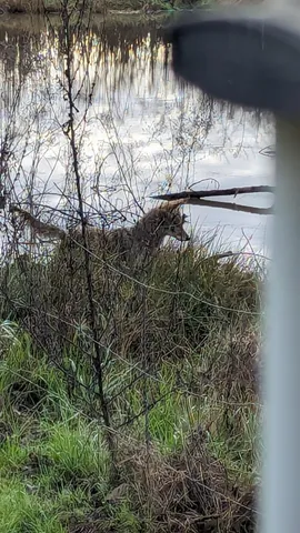 $520,000 | 6510 East Copper Avenue, Clovis, CA 93619