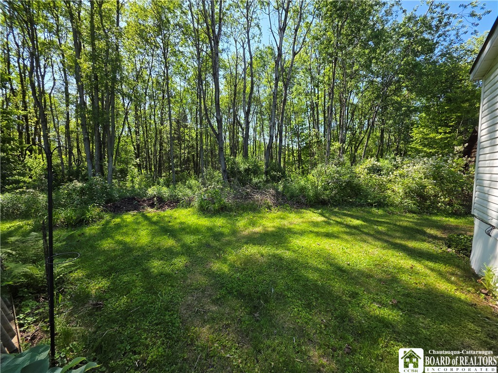 2 Brookside, Unit 2 Frewsburg, NY 14738 - Photo 4 of 22