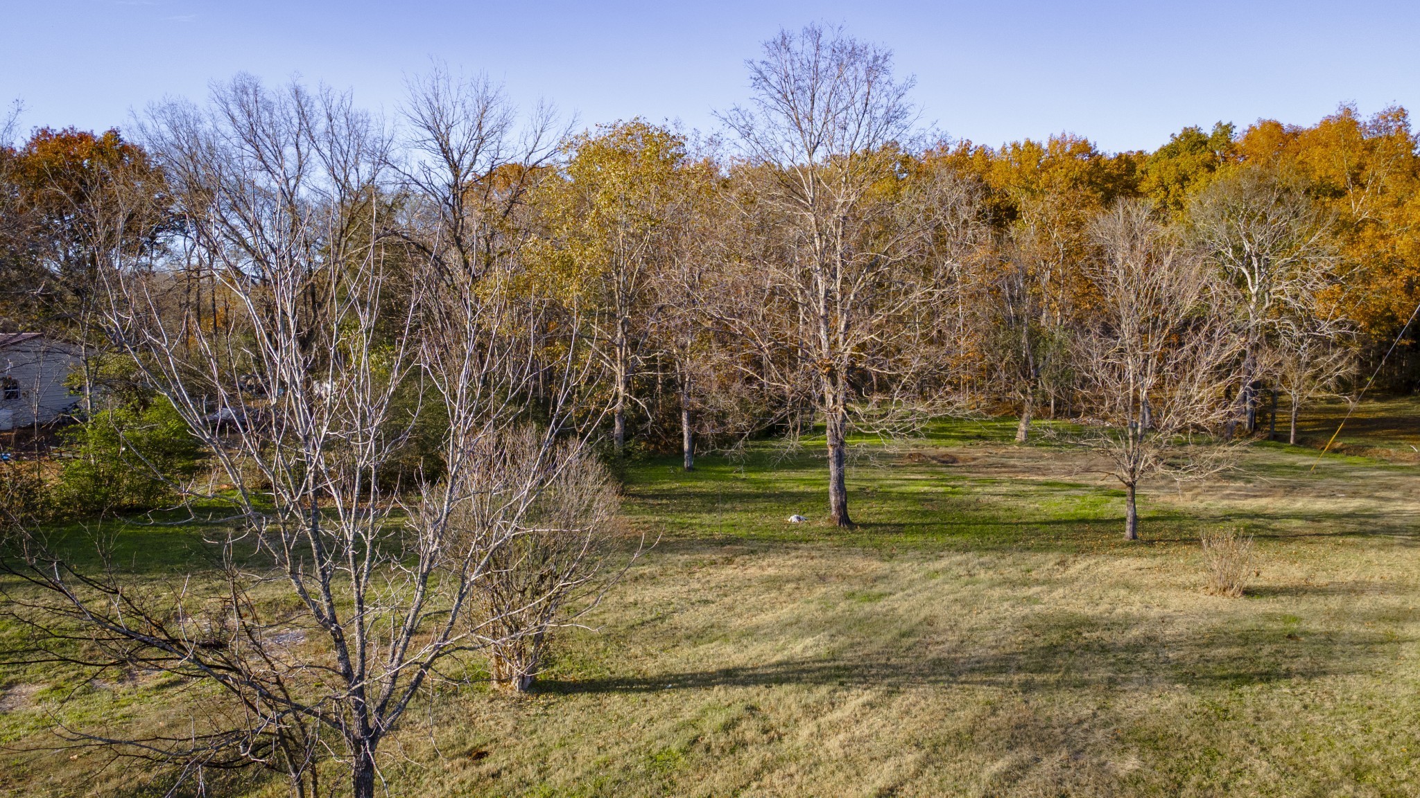 4740 Ash Hill Road Spring Hill, TN 37174 - Photo 4 of 82