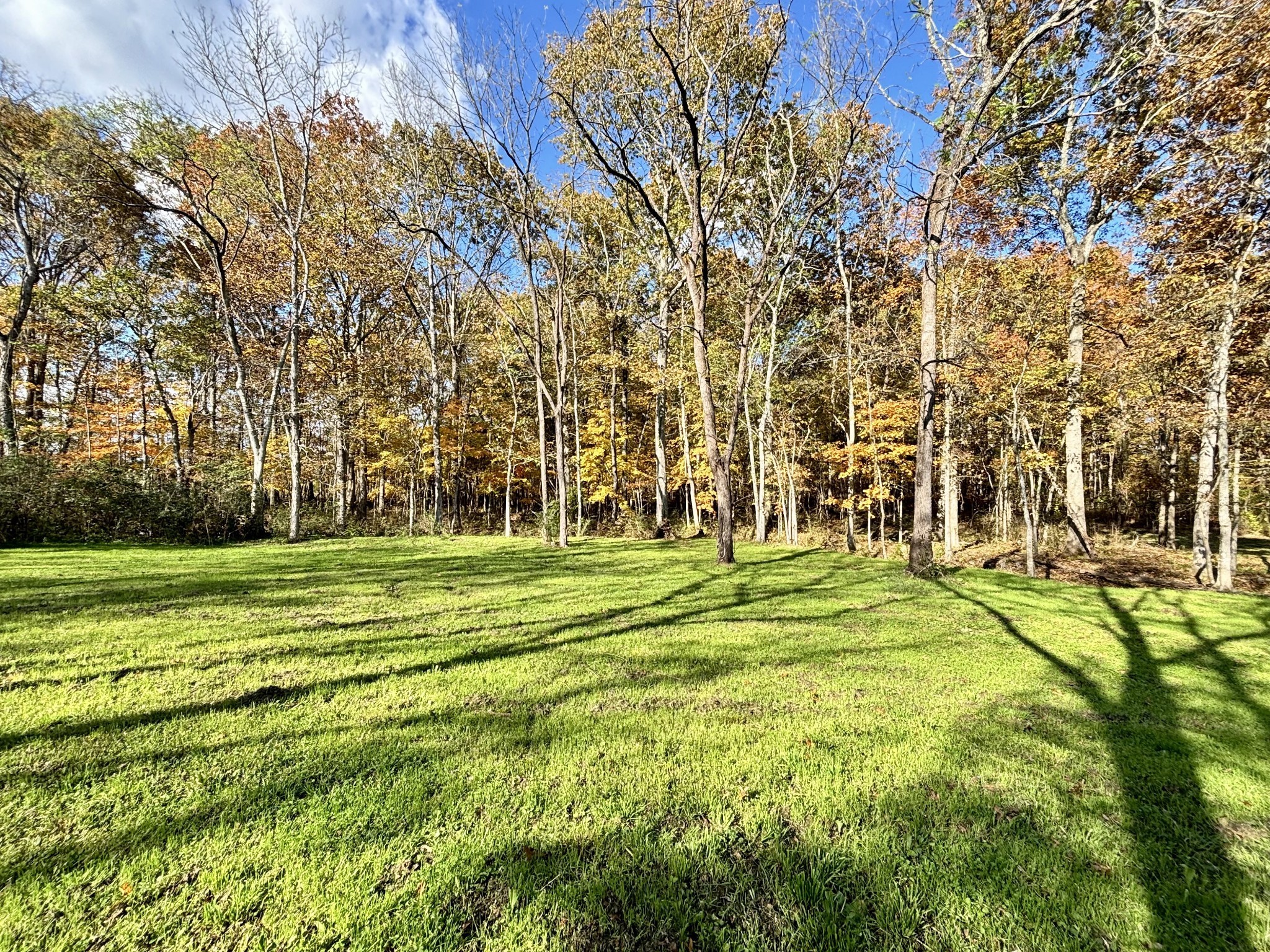 4740 Ash Hill Road Spring Hill, TN 37174 - Photo 66 of 82