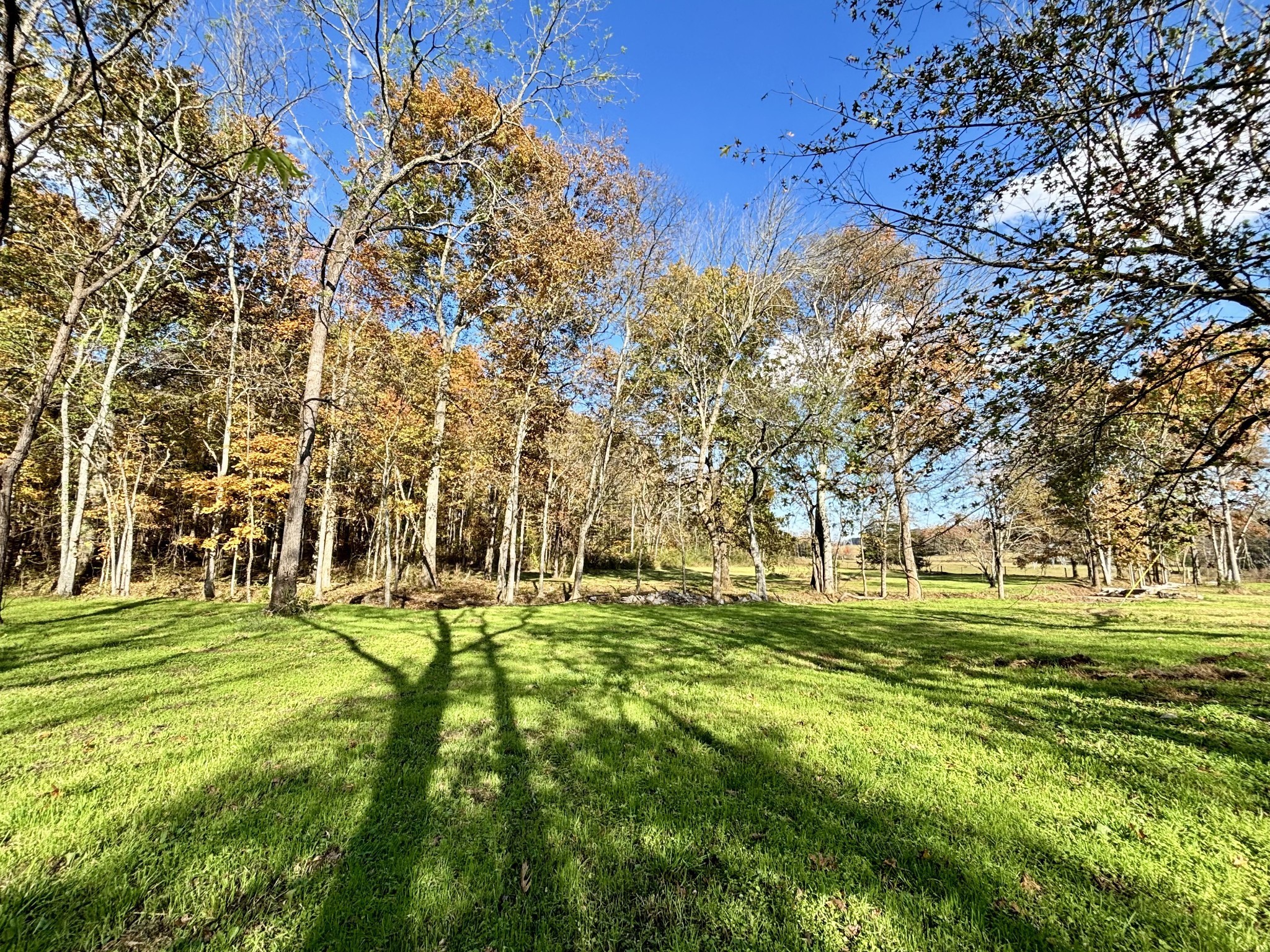 4740 Ash Hill Road Spring Hill, TN 37174 - Photo 68 of 82 a big yard with lots of trees in the background