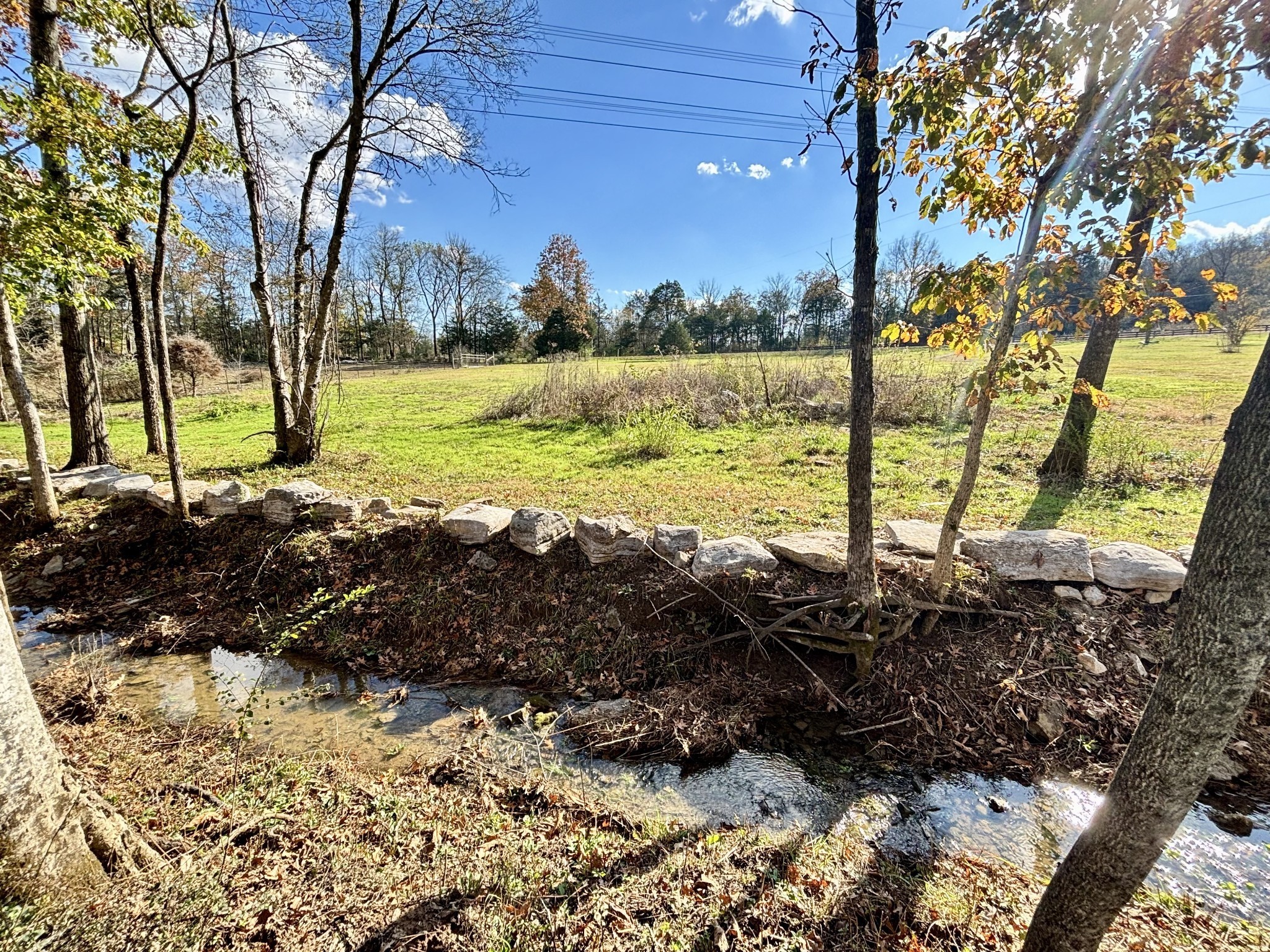 4740 Ash Hill Road Spring Hill, TN 37174 - Photo 71 of 82 a view of a backyard of the house
