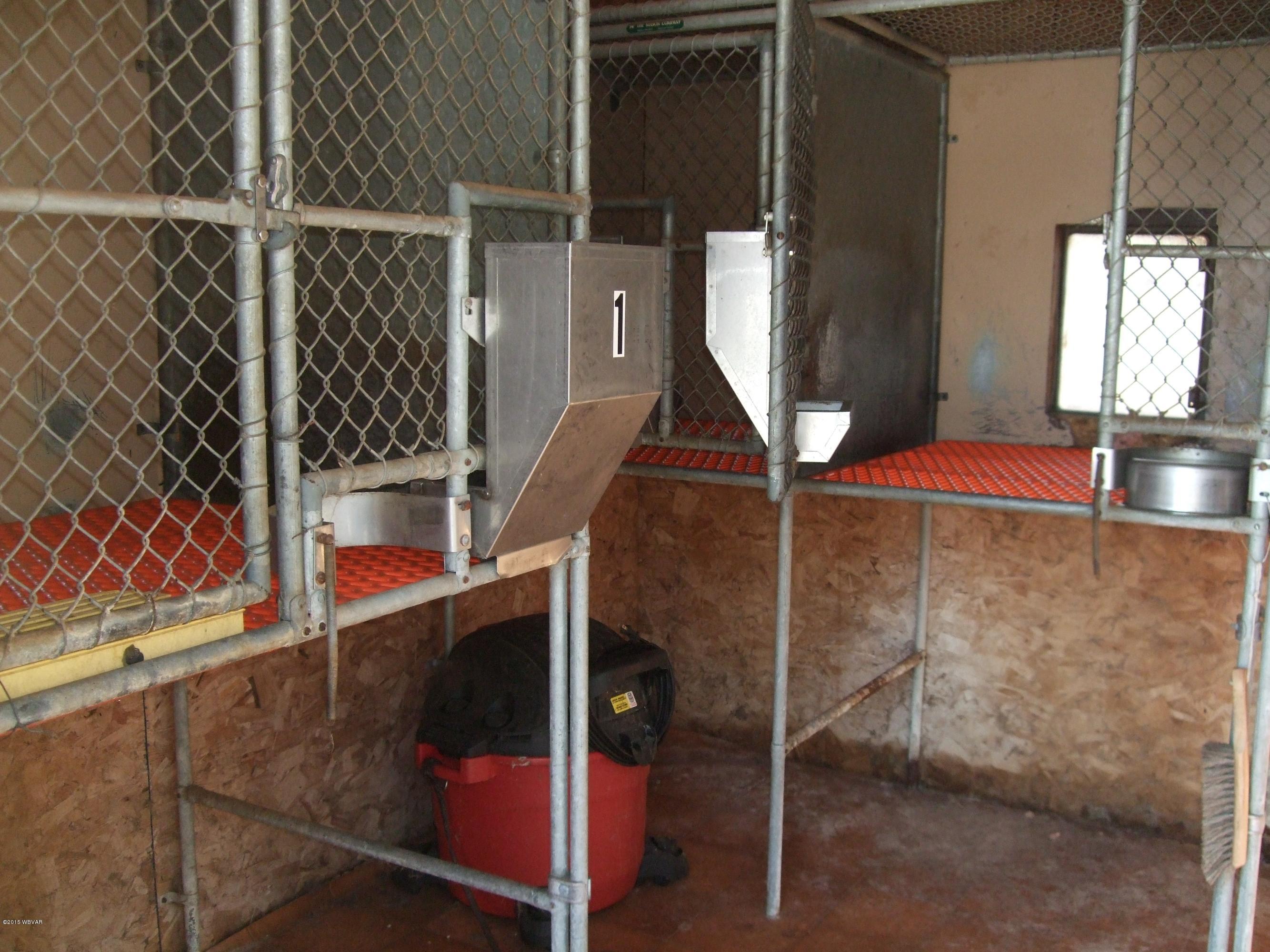 190 East Haven Pines Road Mill Hall, PA 17751 - Photo 3 of 31 Dog Kennel