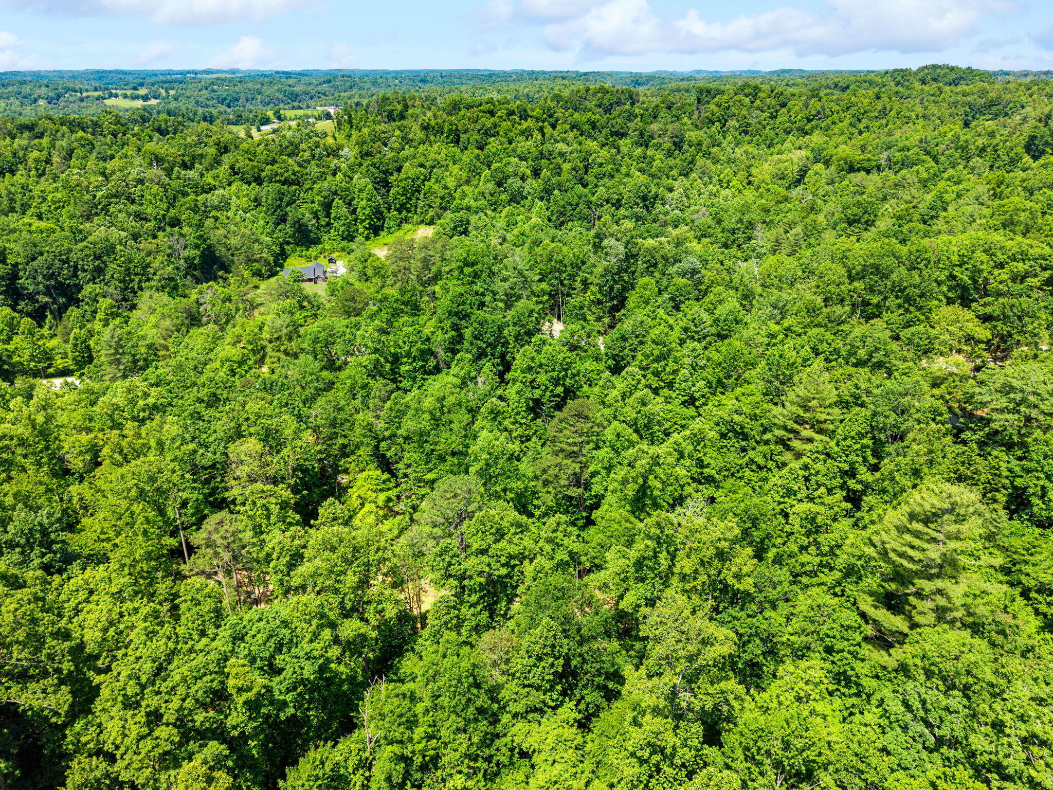 55 Lawson Ridge Road Campton, KY 41301 - Photo 9 of 10 7-web-or-mls-DJI_20260529122139_0015_D