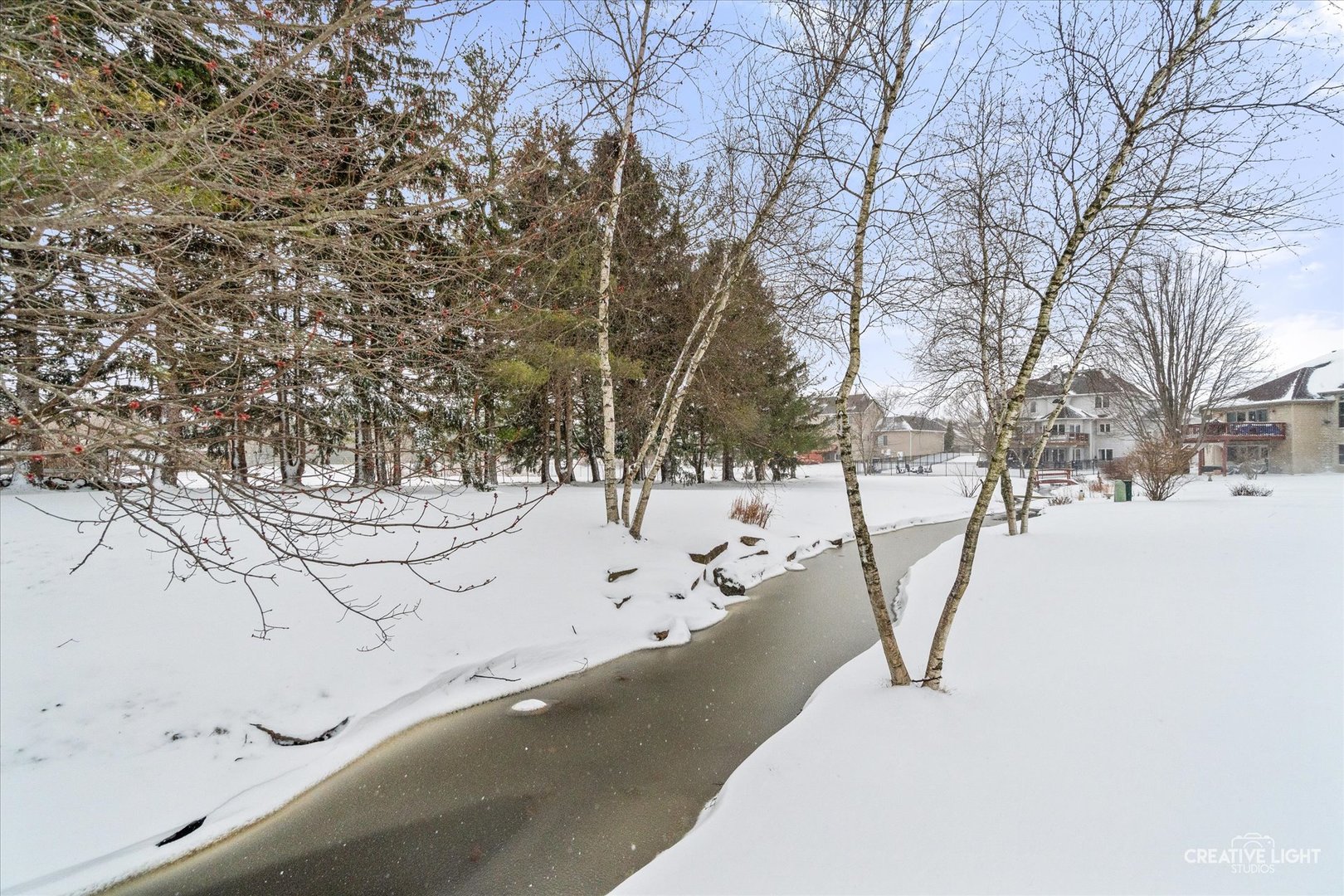 3160 Covered Bridge Lane DeKalb, IL 60115 - Photo 25 of 28 a view of snow on the road