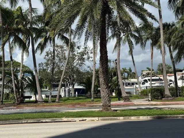 a view of a yard with palm trees
