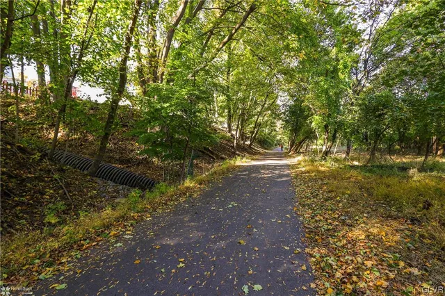 a view of outdoor space and yard