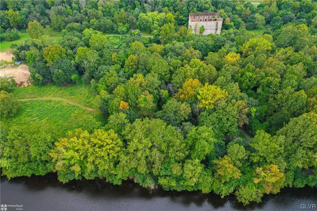 a view of a garden with a bench