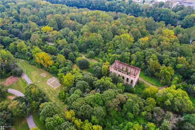 a picture of trees and tree